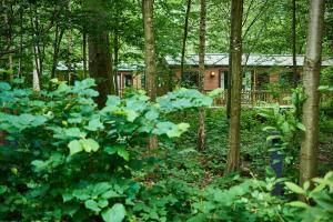 disneys davy crockett ranch