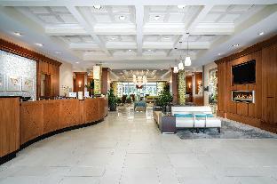 hilton garden inn dalton