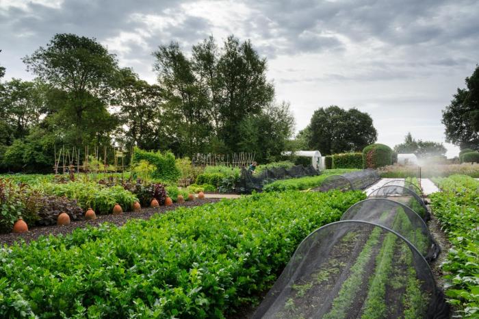 le manoir aux quatsaisons a belmond hotel oxfordshire
