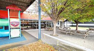 foreshore hotel