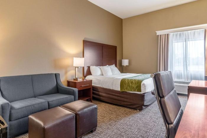 comfort inn and suites tuscumbia muscle shoals