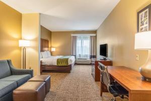 comfort inn and suites tuscumbia muscle shoals