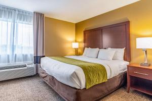 comfort inn and suites tuscumbia muscle shoals