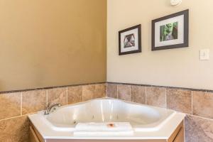 comfort inn and suites tuscumbia muscle shoals