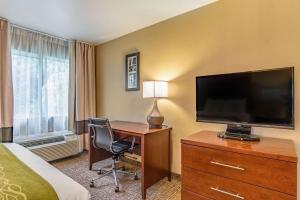 comfort inn and suites tuscumbia muscle shoals