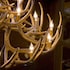 the lodge at brainerd lakes trademark collection by wyndham