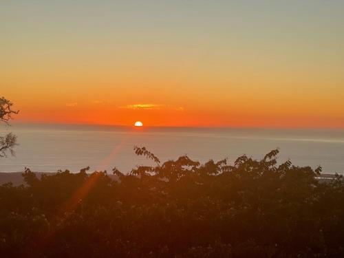mango sunset bed and breakfast