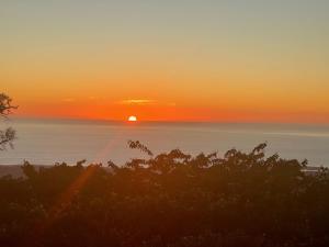 mango sunset bed and breakfast