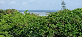 ndiza lodge and cabanas