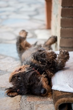 country house montali