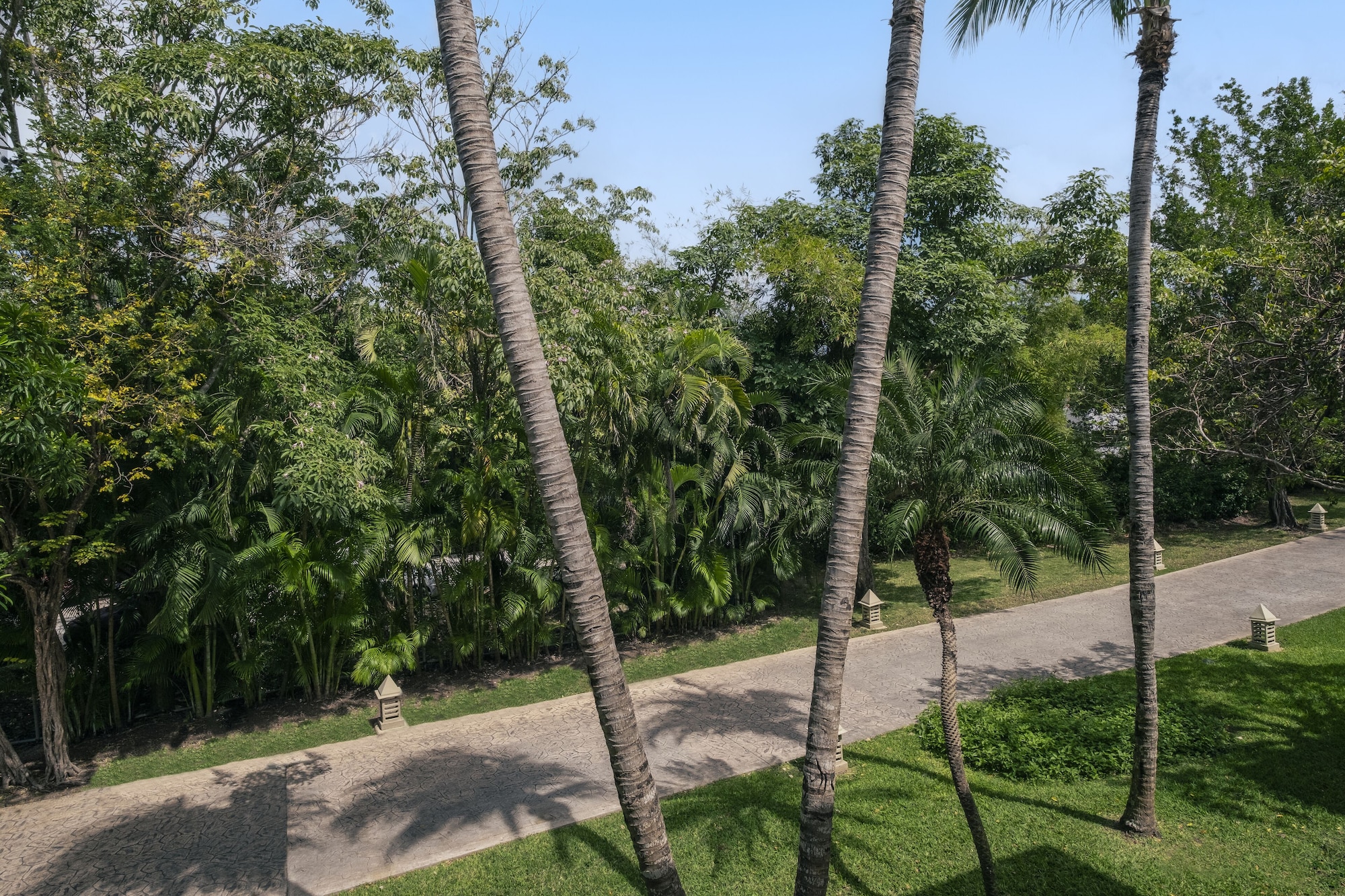 playa del carmen