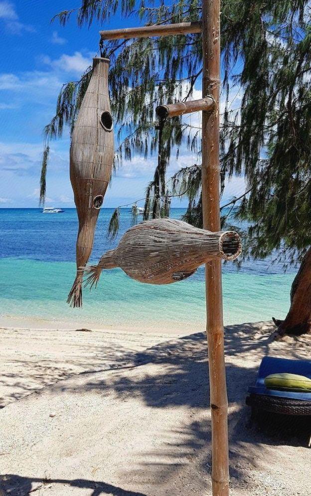 ocean vida beach and dive resort