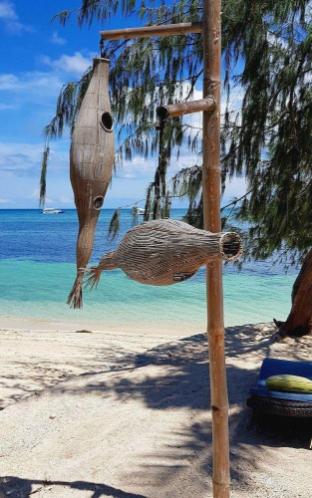 ocean vida beach and dive resort