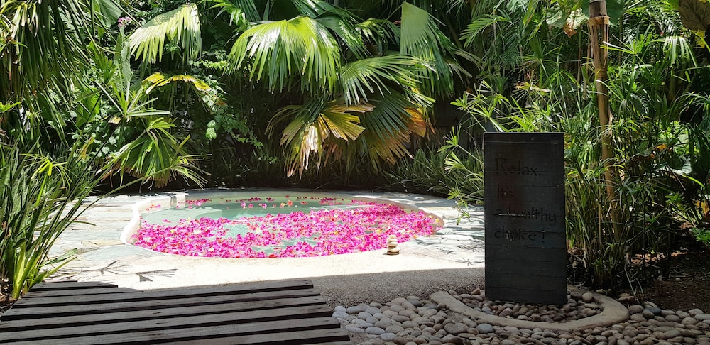 ocean vida beach and dive resort
