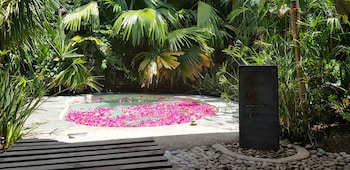 ocean vida beach and dive resort