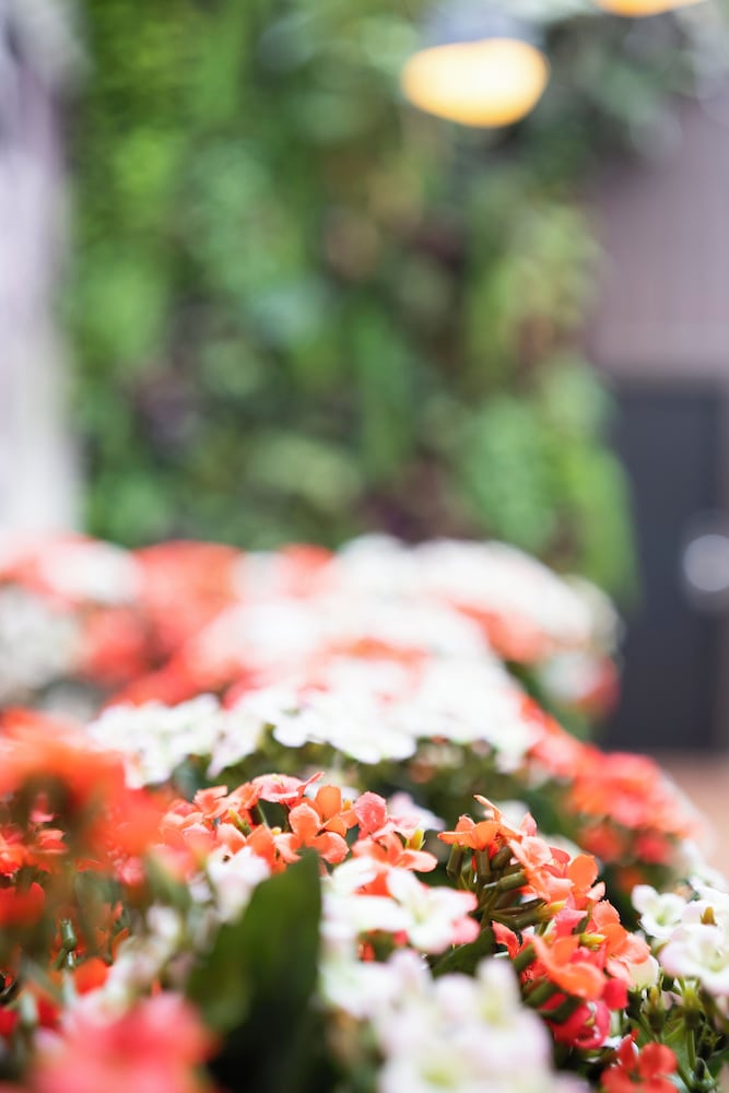 hotel aida marais printania