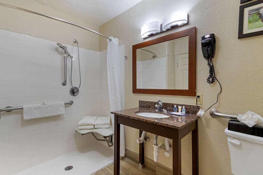 comfort inn and suites near six flags and medical center