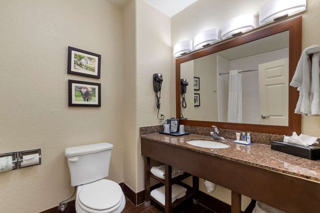 comfort inn and suites near six flags and medical center