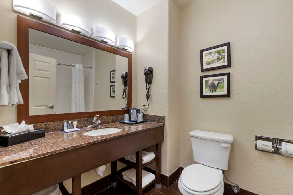 comfort inn and suites near six flags and medical center