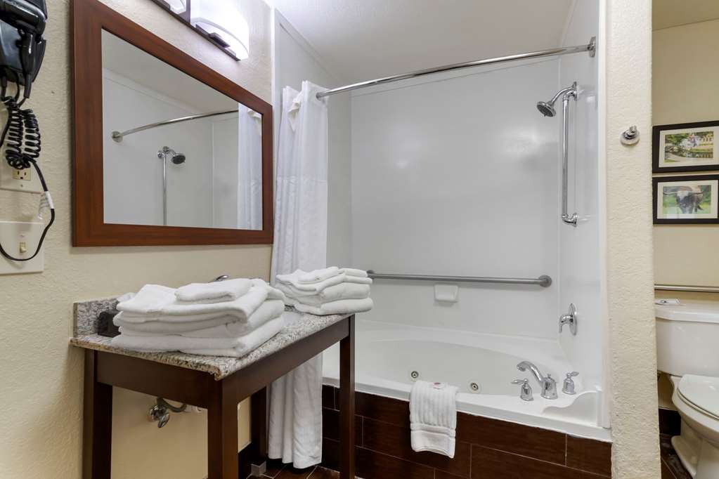 comfort inn and suites near six flags and medical center