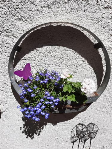 maison du coquelicot