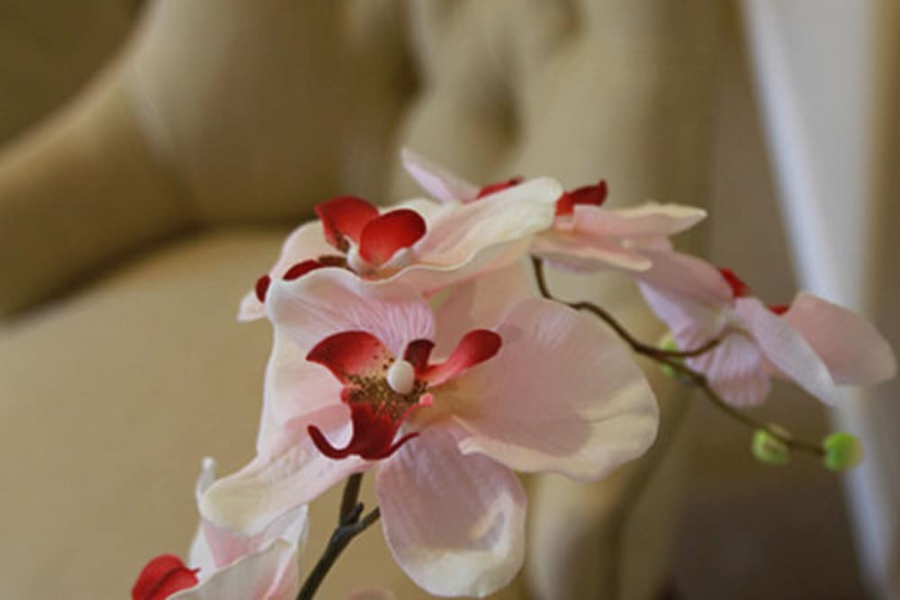 hotel intersur recoleta