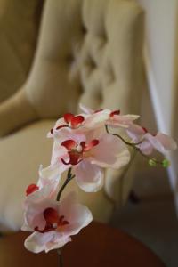 hotel intersur recoleta