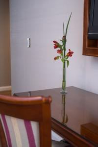 hotel intersur recoleta