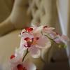 hotel intersur recoleta