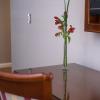 hotel intersur recoleta