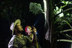 arenas del mar beachfront and rainforest resort