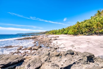 ylang ylang beach resort