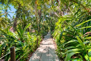 ylang ylang beach resort