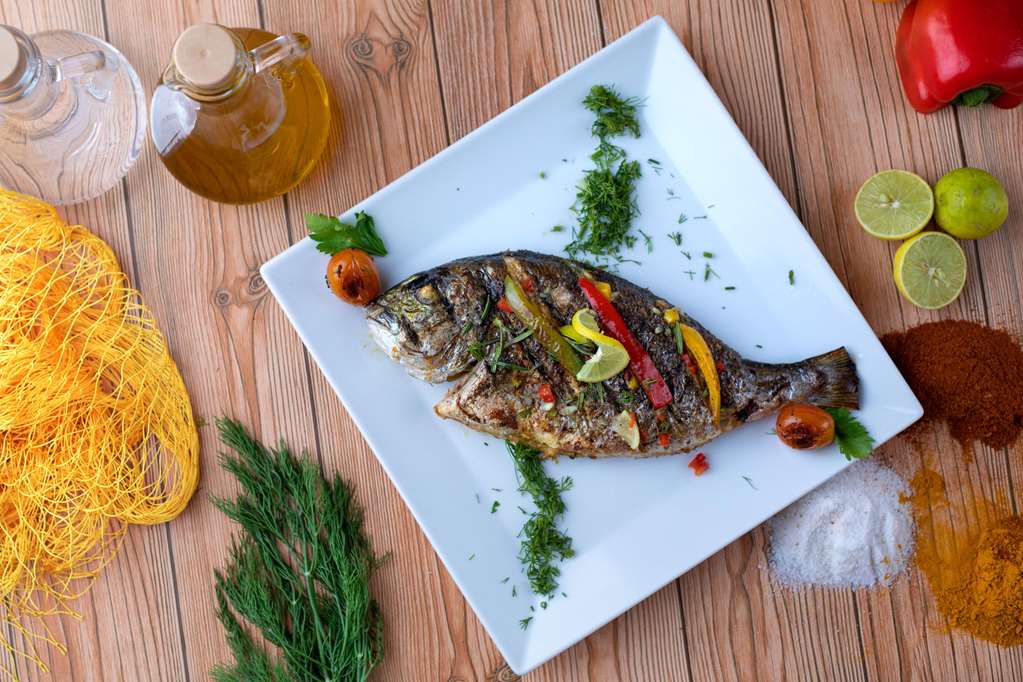 fanadir hotel el gouna adults only