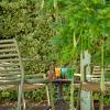 les herbiers