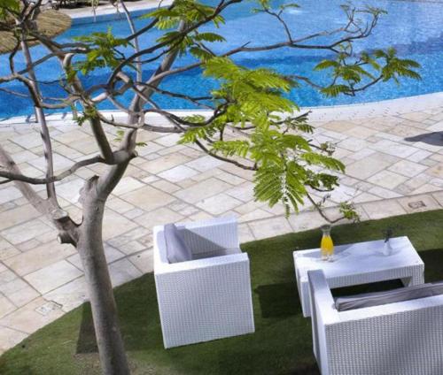 royal hotel dead sea