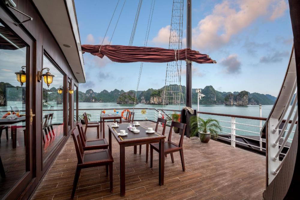 orchid trendy cruise