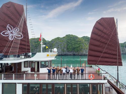 orchid trendy cruise