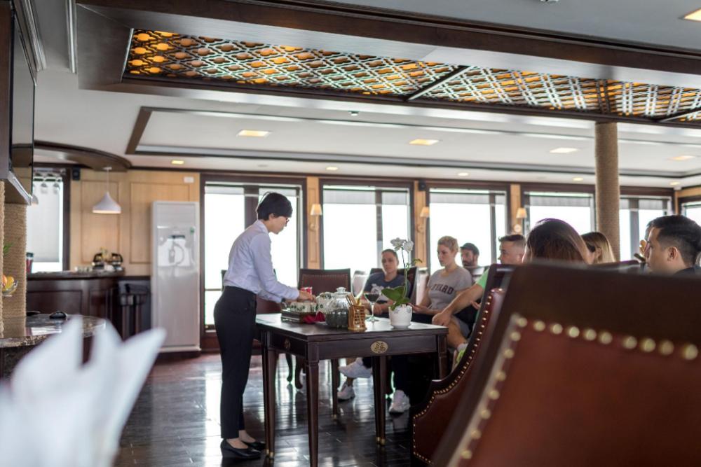 orchid trendy cruise