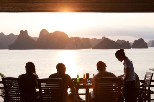 orchid trendy cruise