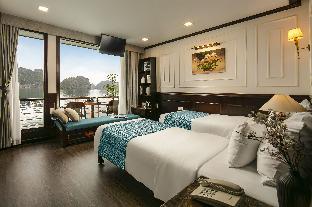 orchid trendy cruise