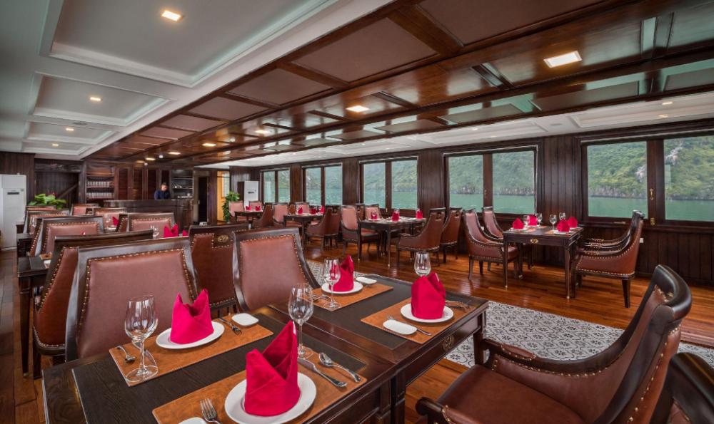 orchid trendy cruise