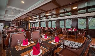 orchid trendy cruise