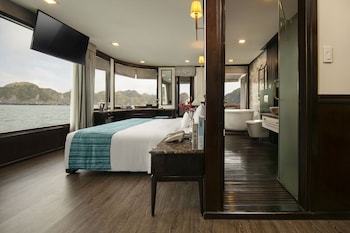 orchid trendy cruise