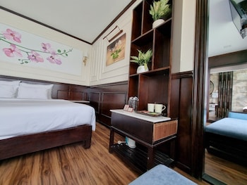 orchid trendy cruise