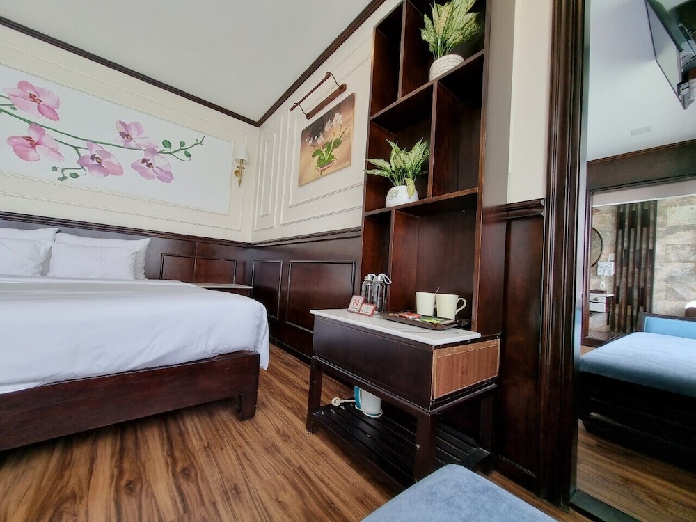 orchid trendy cruise