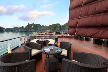 orchid trendy cruise