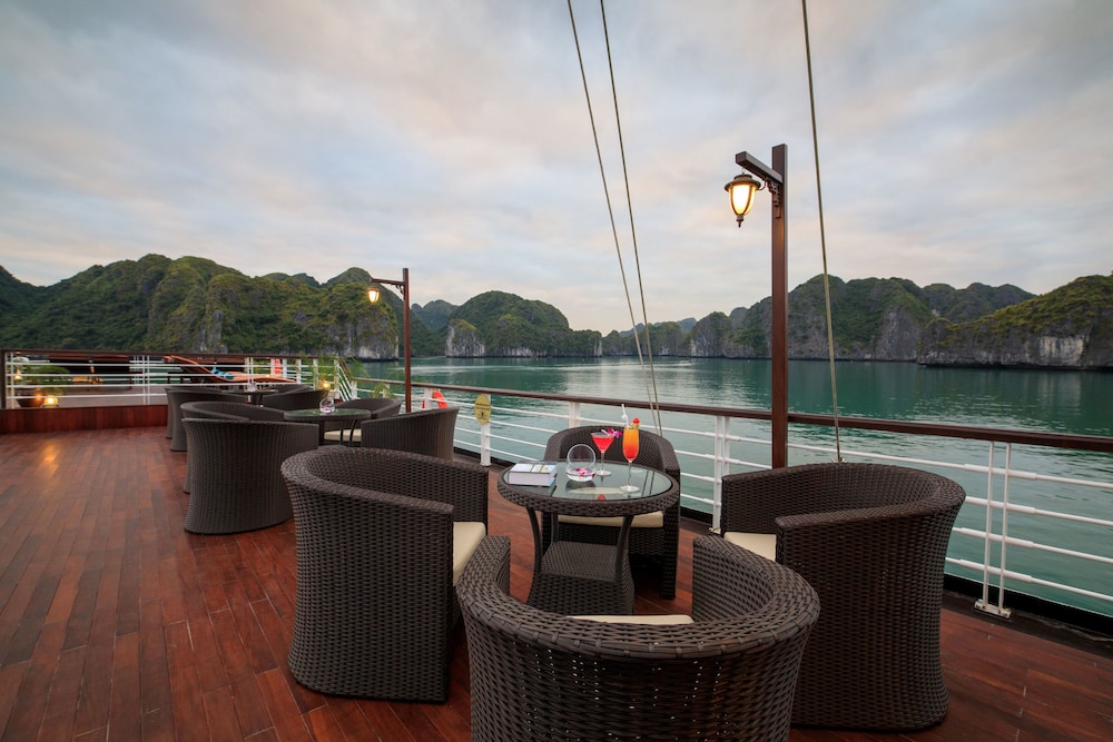orchid trendy cruise
