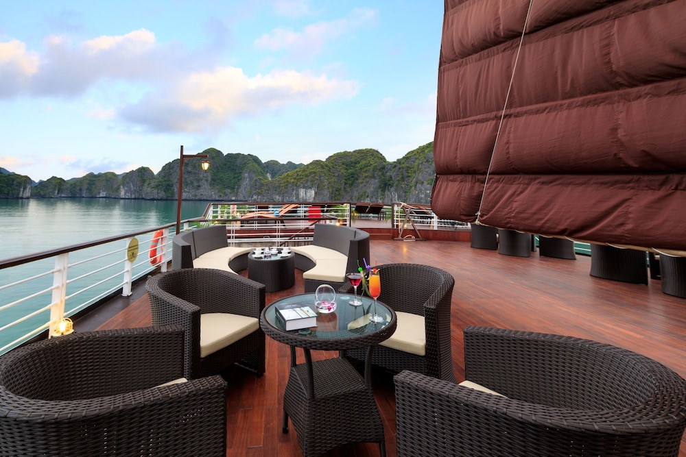 orchid trendy cruise