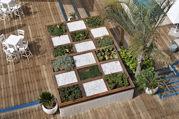 herbert samuel reef eilat